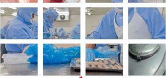 Gestión de Alimentos ISO 22000